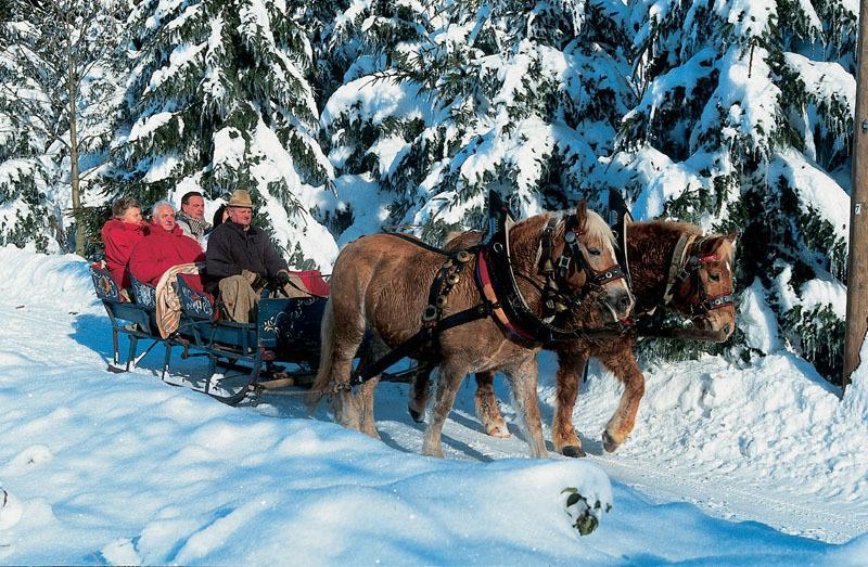 Gasthof Reiner Sankt Englmar Dış mekan fotoğraf